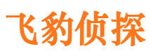 边坝外遇调查取证